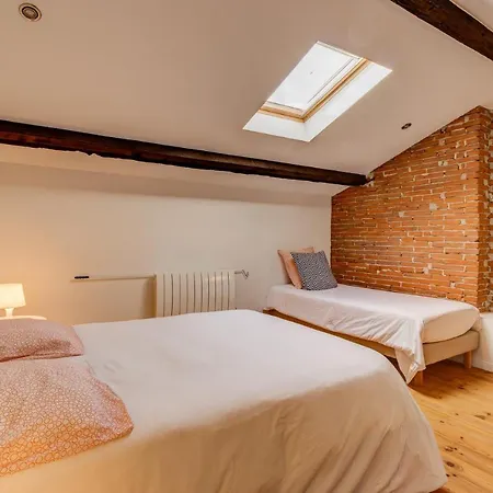 La Goulue, Duplex Proche Centre Διαμέρισμα Αλμπί